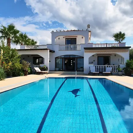 Olive View 키레니아