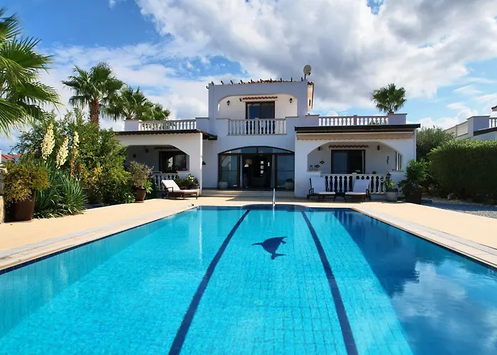 Olive View 키레니아